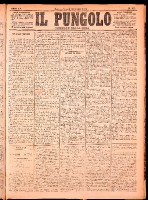 NA0079-Il_pungolo_giornale_politico-1874-10-23-0001.tif.jpg