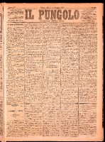 NA0079-Il_pungolo_giornale_politico-1874-11-03-0001.tif.jpg