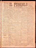 NA0079-Il_pungolo_giornale_politico-1874-11-07-0001.tif.jpg