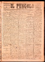 NA0079-Il_pungolo_giornale_politico-1874-11-01-0001.tif.jpg