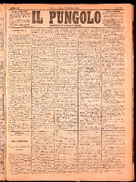 NA0079-Il_pungolo_giornale_politico-1874-10-17-0001.tif.jpg