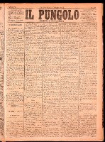 NA0079-Il_pungolo_giornale_politico-1874-11-05-0001.tif.jpg