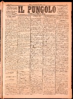 NA0079-Il_pungolo_giornale_politico-1874-11-09-0001.tif.jpg