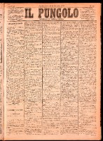 NA0079-Il_pungolo_giornale_politico-1874-11-11-0001.tif.jpg