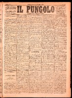 NA0079-Il_pungolo_giornale_politico-1874-11-02-0001.tif.jpg