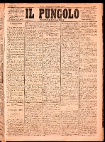 NA0079-Il_pungolo_giornale_politico-1874-11-04-0001.tif.jpg