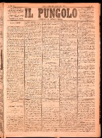 NA0079-Il_pungolo_giornale_politico-1874-10-28-0001.tif.jpg