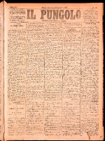 NA0079-Il_pungolo_giornale_politico-1874-11-15-0001.tif.jpg