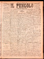 NA0079-Il_pungolo_giornale_politico-1874-11-21-0001.tif.jpg