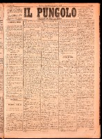 NA0079-Il_pungolo_giornale_politico-1874-11-06-0001.tif.jpg