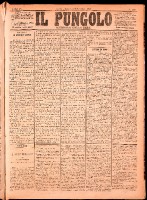 NA0079-Il_pungolo_giornale_politico-1874-11-08-0001.tif.jpg