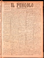 NA0079-Il_pungolo_giornale_politico-1874-11-17-0001.tif.jpg