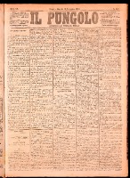 NA0079-Il_pungolo_giornale_politico-1874-11-10-0001.tif.jpg