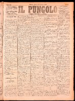 NA0079-Il_pungolo_giornale_politico-1874-11-23-0001.tif.jpg