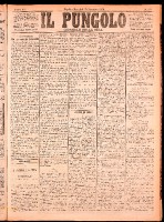 NA0079-Il_pungolo_giornale_politico-1874-11-25-0001.tif.jpg