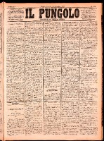 NA0079-Il_pungolo_giornale_politico-1874-11-26-0001.tif.jpg