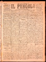 NA0079-Il_pungolo_giornale_politico-1874-11-29-0001.tif.jpg