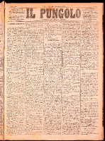 NA0079-Il_pungolo_giornale_politico-1874-12-01-0001.tif.jpg