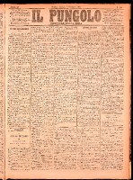 NA0079-Il_pungolo_giornale_politico-1874-12-08-0001.tif.jpg