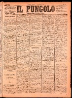 NA0079-Il_pungolo_giornale_politico-1874-12-03-0001.tif.jpg