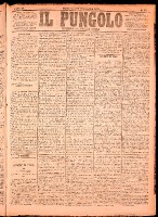 NA0079-Il_pungolo_giornale_politico-1874-12-28-0001.tif.jpg