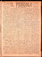 NA0079-Il_pungolo_giornale_politico-1874-12-12-0001.tif.jpg