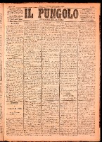 NA0079-Il_pungolo_giornale_politico-1874-12-30-0001.tif.jpg