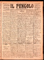 NA0079-Il_pungolo_giornale_politico-1874-12-05-0001.tif.jpg