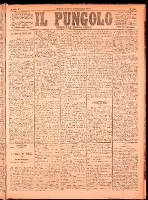 NA0079-Il_pungolo_giornale_politico-1874-12-10-0001.tif.jpg