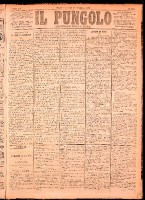 NA0079-Il_pungolo_giornale_politico-1874-12-24-0001.tif.jpg