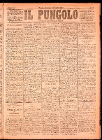 NA0079-Il_pungolo_giornale_politico-1874-12-06-0001.tif.jpg