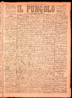 NA0079-Il_pungolo_giornale_politico-1874-12-16-0001.tif.jpg