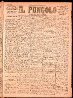 NA0079-Il_pungolo_giornale_politico-1874-12-07-0001.tif.jpg