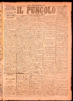 NA0079-Il_pungolo_giornale_politico-1874-12-22-0001.tif.jpg