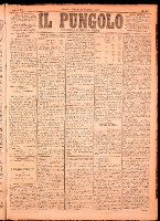 NA0079-Il_pungolo_giornale_politico-1874-12-29-0001.tif.jpg