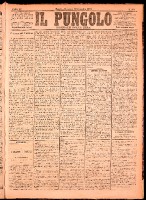 NA0079-Il_pungolo_giornale_politico-1874-12-20-0001.tif.jpg