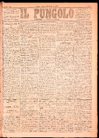 NA0079-Il_pungolo_giornale_politico-1875-01-23-0001.tif.jpg