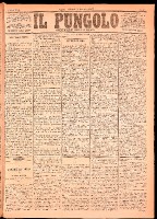 NA0079-Il_pungolo_giornale_politico-1875-01-07-0001.tif.jpg