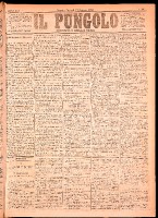 NA0079-Il_pungolo_giornale_politico-1875-01-19-0001.tif.jpg