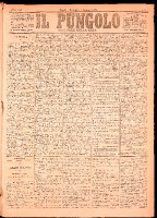 NA0079-Il_pungolo_giornale_politico-1875-01-03-0001.tif.jpg