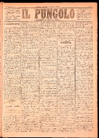 NA0079-Il_pungolo_giornale_politico-1875-01-14-0001.tif.jpg