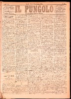 NA0079-Il_pungolo_giornale_politico-1875-01-26-0001.tif.jpg