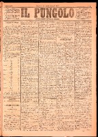 NA0079-Il_pungolo_giornale_politico-1875-01-08-0001.tif.jpg