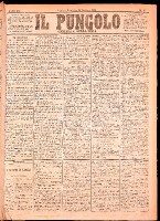 NA0079-Il_pungolo_giornale_politico-1875-01-24-0001.tif.jpg