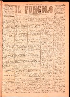 NA0079-Il_pungolo_giornale_politico-1875-01-12-0001.tif.jpg