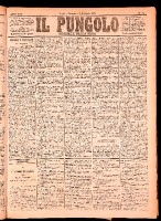 NA0079-Il_pungolo_giornale_politico-1875-02-07-0001.tif.jpg