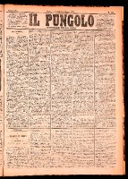 NA0079-Il_pungolo_giornale_politico-1875-06-11-0001.tif.jpg